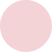 R558MS